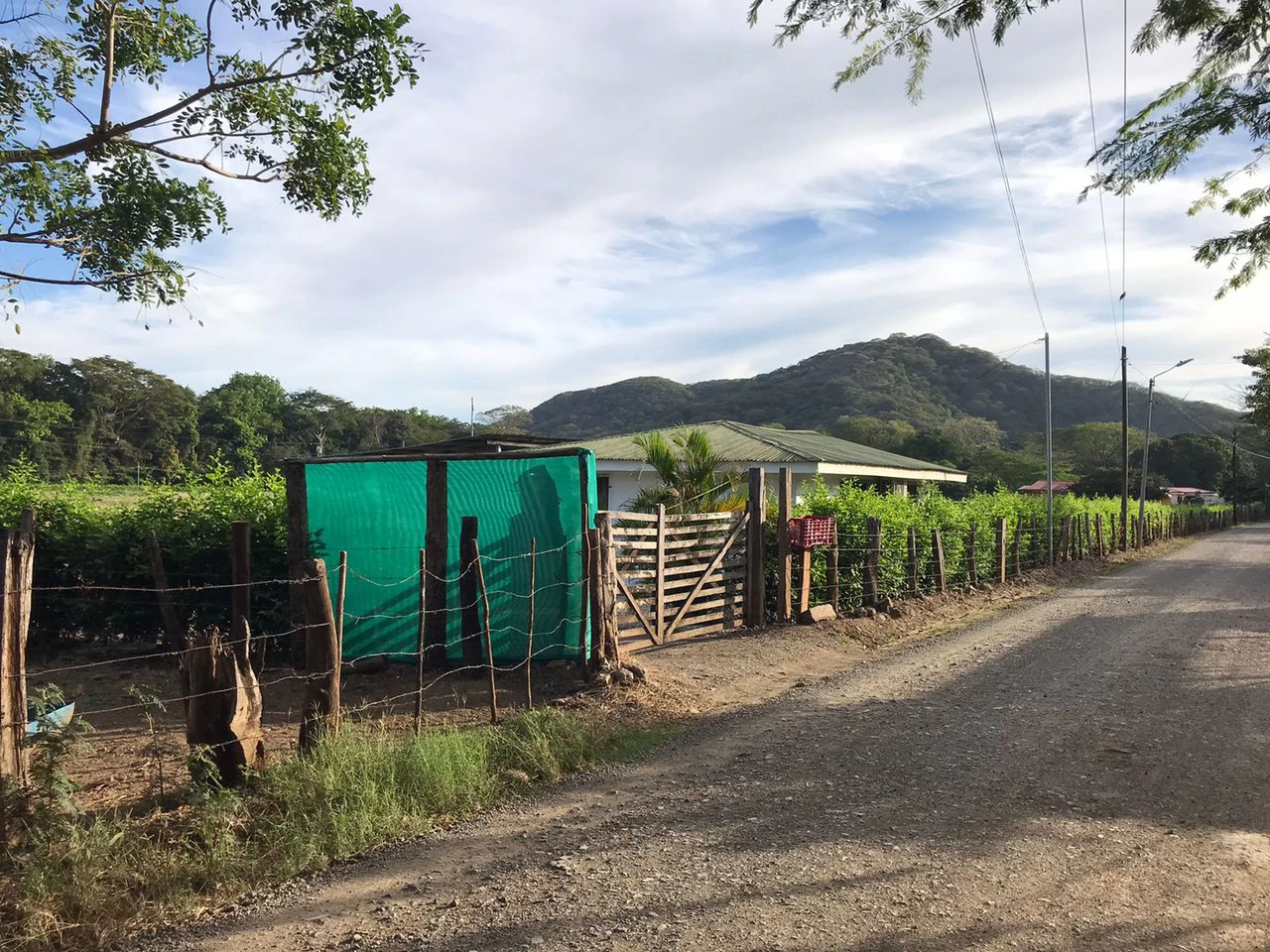 Barrio Limón in Santa Cruz – Excellent future location for a residential project with 130 water connections, investment opportunity - Gallery image 7