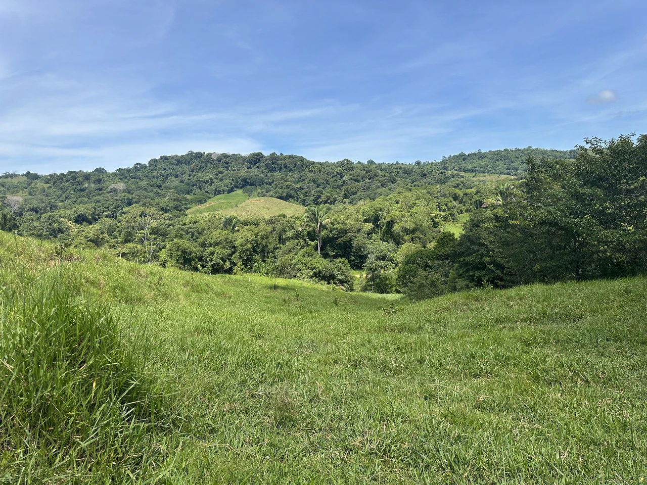 8.78 Acres Mountain View Estate with Water, Infrastructure & Endless Development Potential | Platanillo de Barú, Costa Rica - photo 15