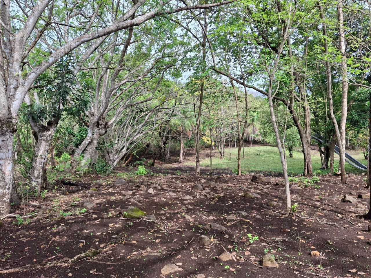 Finca Nature: Beautiful Private Finca near Atenas! - Gallery image 5