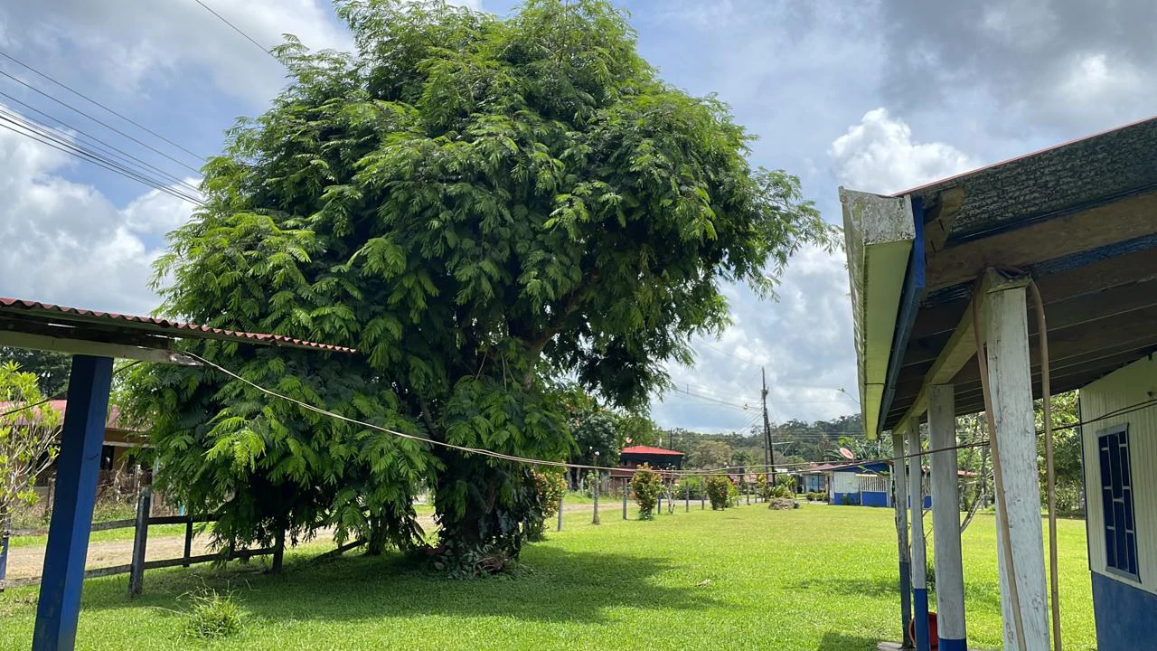 Mountain Agricultural Land For Sale in Bijagua - Gallery image 19