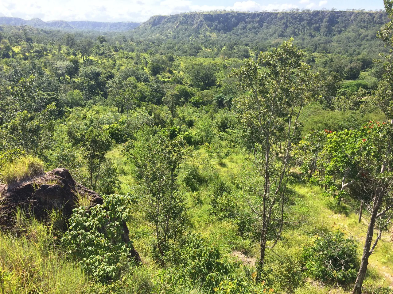 Finca de 31 hectáreas en Liberia: Great investment opportunity - Gallery image 11