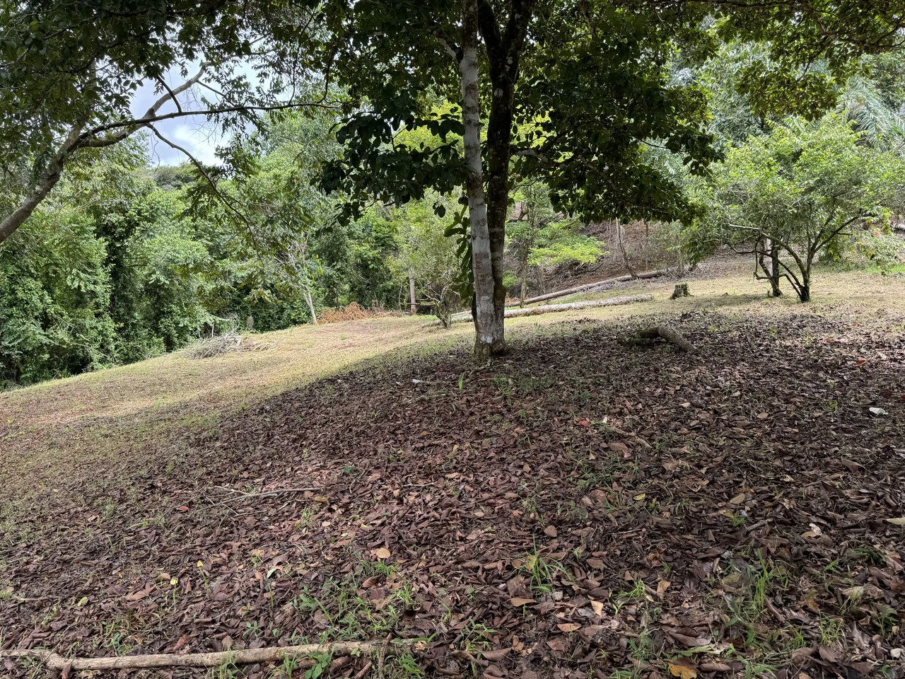 Diamante Waterfall View Land in Dominical 2.9 Acres - Gallery image 9