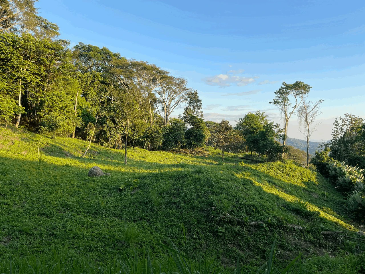 7.56 ACRES – Ocean View Acreage In Lagunas, 50% Flat And Usable, Public Road, ASADA Water, Fruit Trees!!!! - Gallery image 4