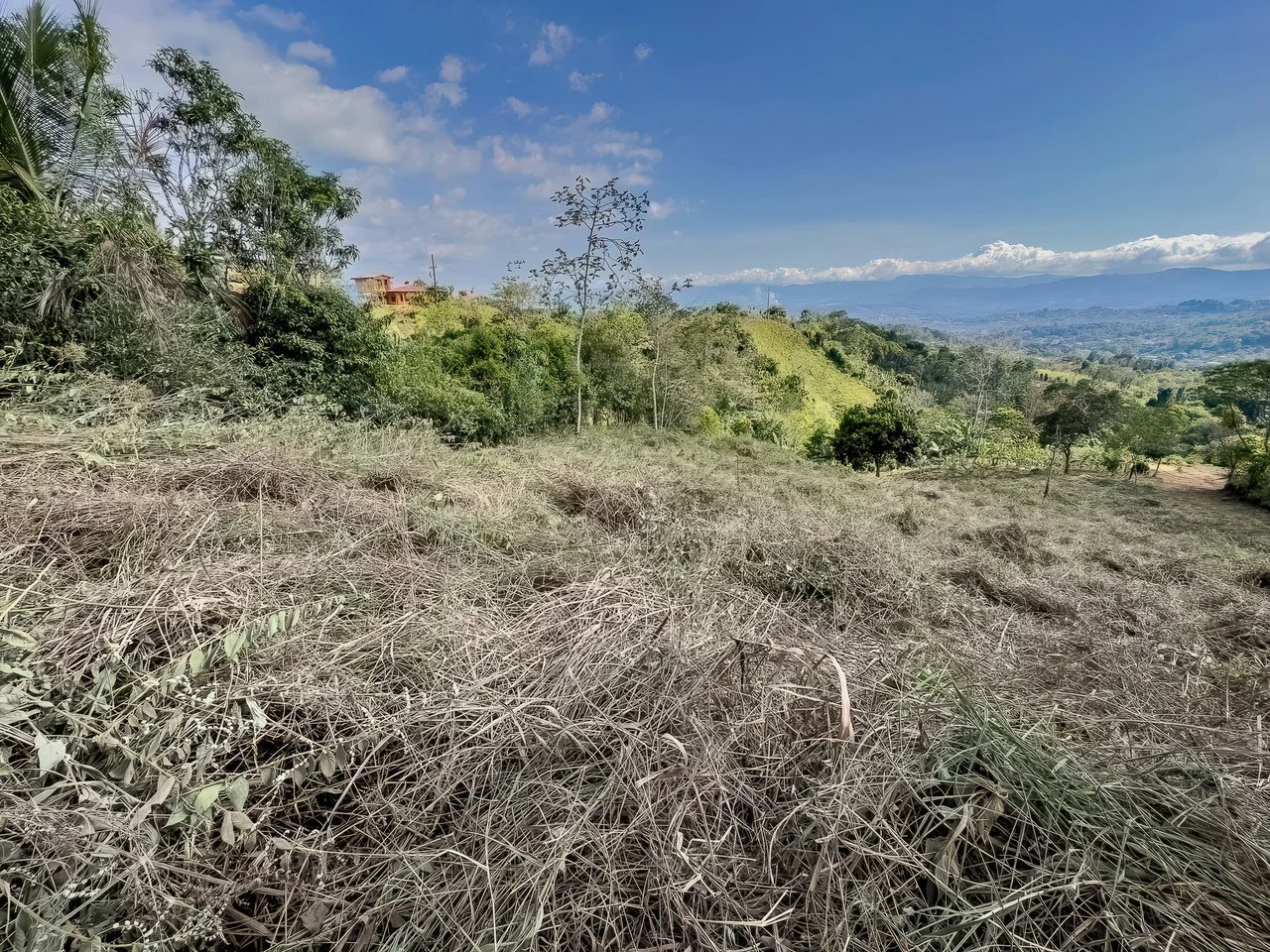 Valley View Lot in Quebradas, Pérez Zeledón.: Mountain Home Construction Site For Sale in Quebradas - Gallery image 13
