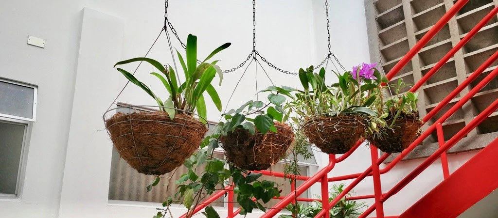 Hotel/Resort/Hostel For Sale in Heredia - Gallery image 7