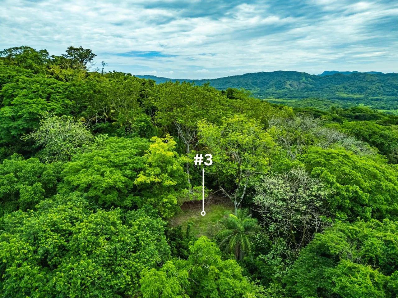 The Refuge: Ecological Lots in Hojancha Blue Zone - photo 10