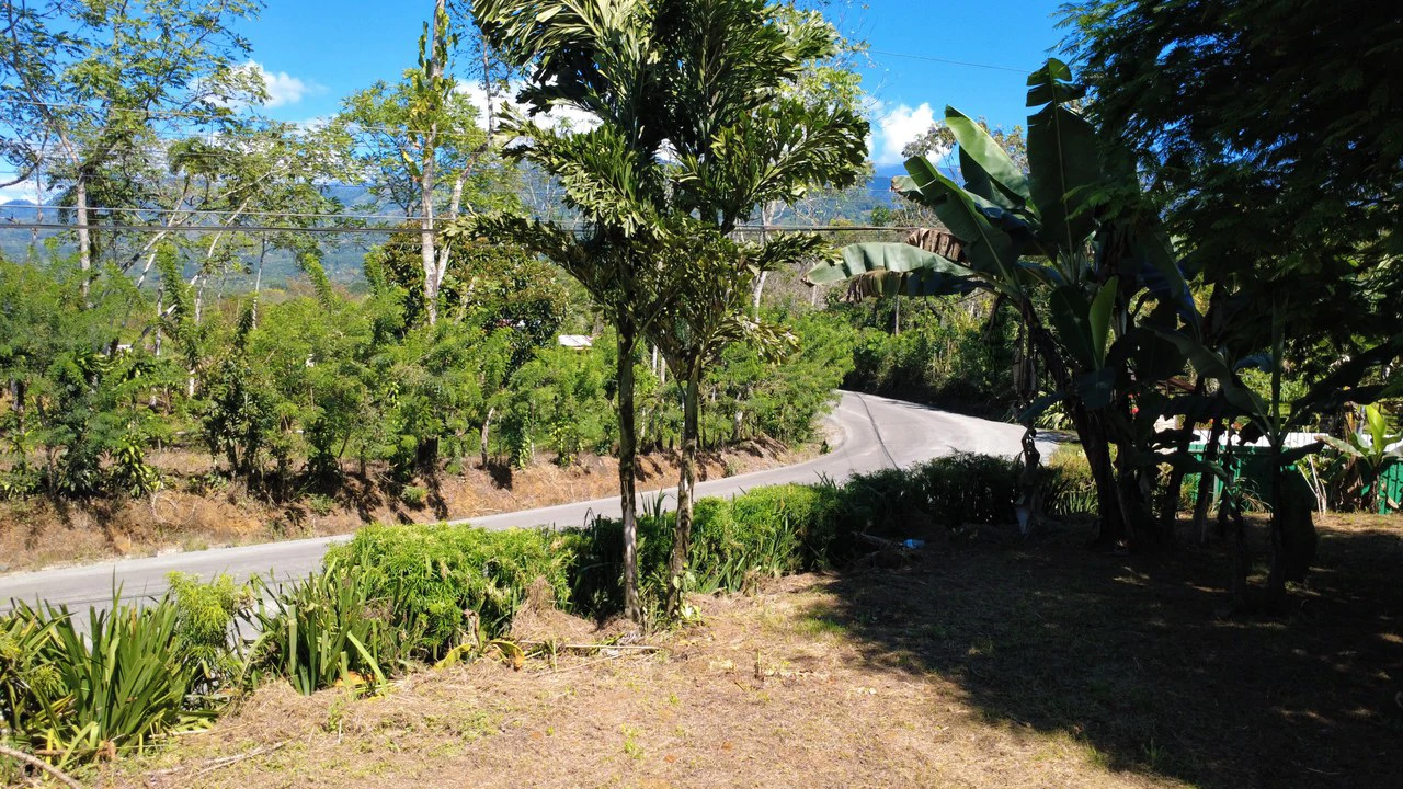Countryside Home Construction Site For Sale in San Pedro - Gallery image 7