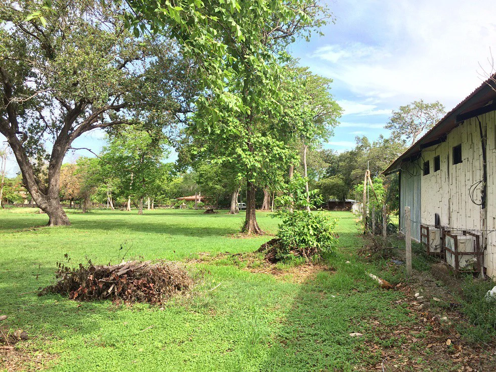 Propiedad grande: Home Construction Site For Sale in Liberia - Gallery image 10