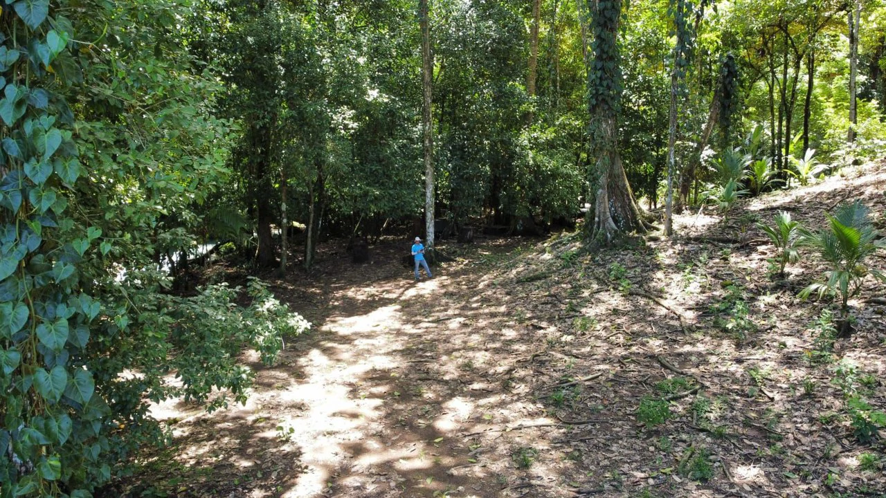 TERRENO EN VENTA, PUNTARENAS.: Mountain Home Construction Site For Sale in Hatillo - Gallery image 17
