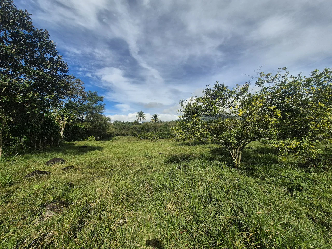 Home Construction Site For Sale in Centro de Pérez Zeledón - Gallery image 13
