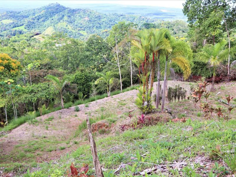 Captivating 3.15-Acre Property: Huge Pricedrop! Firesale Oceanview Lot in Tres Rios - Gallery image 28