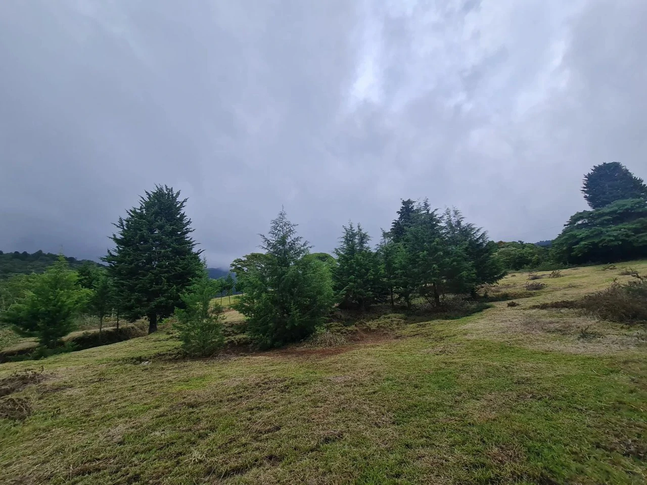 Agricultural Land For Sale in San Isidro - Gallery image 2