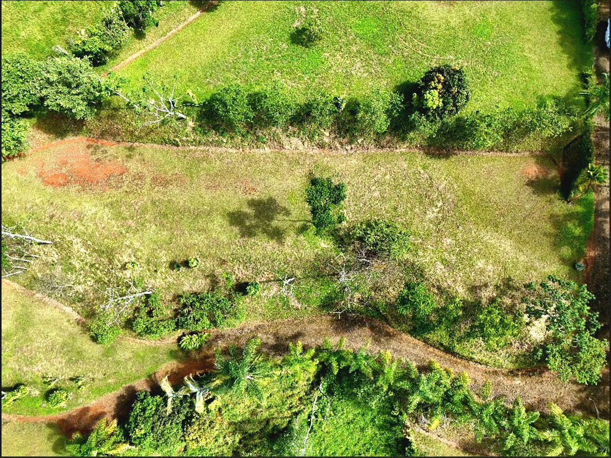 Mountain Home Construction Site For Sale in Miravalles - photo 2