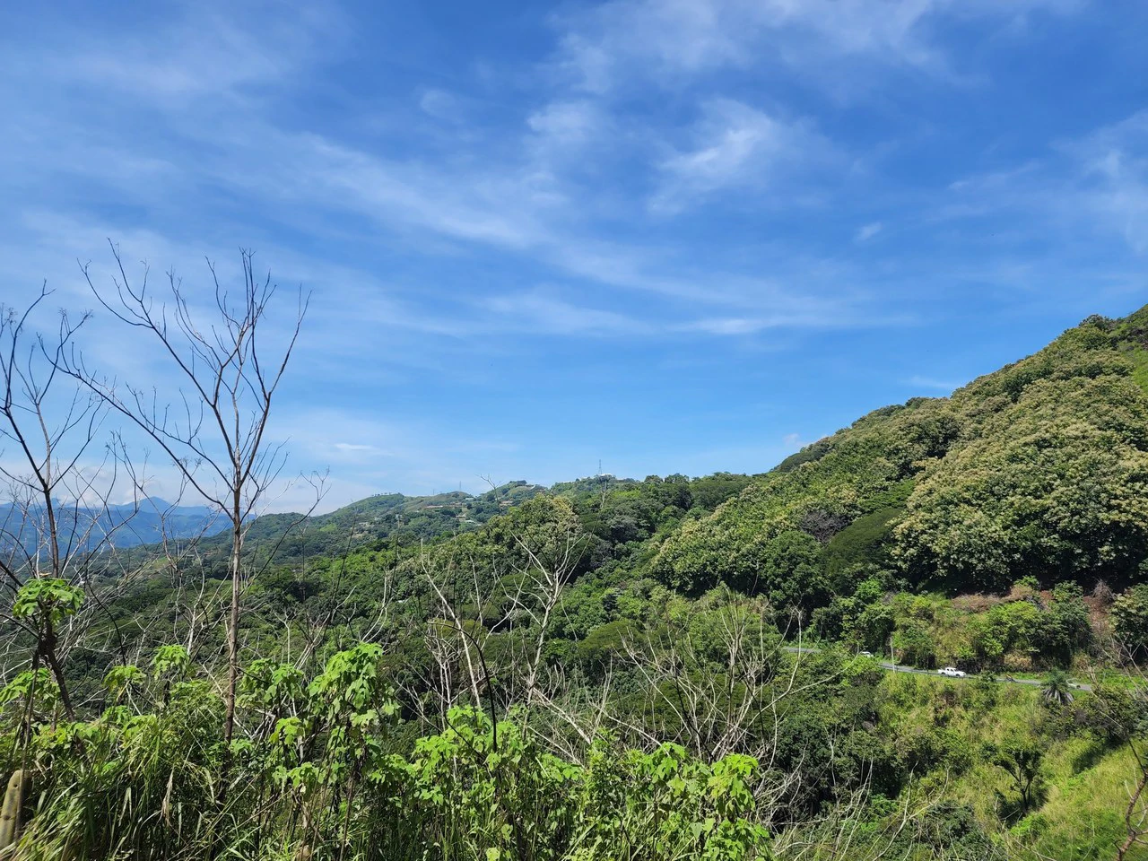 Countryside Home Construction Site For Sale in Atenas - Gallery image 16