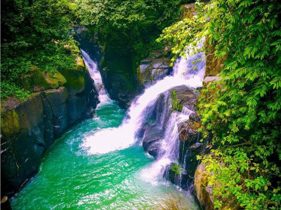 INCREDIBLE ECOLOGICAL PROPERTY WITH 4 SPECTACULAR WATERFALLS - Gallery image 4