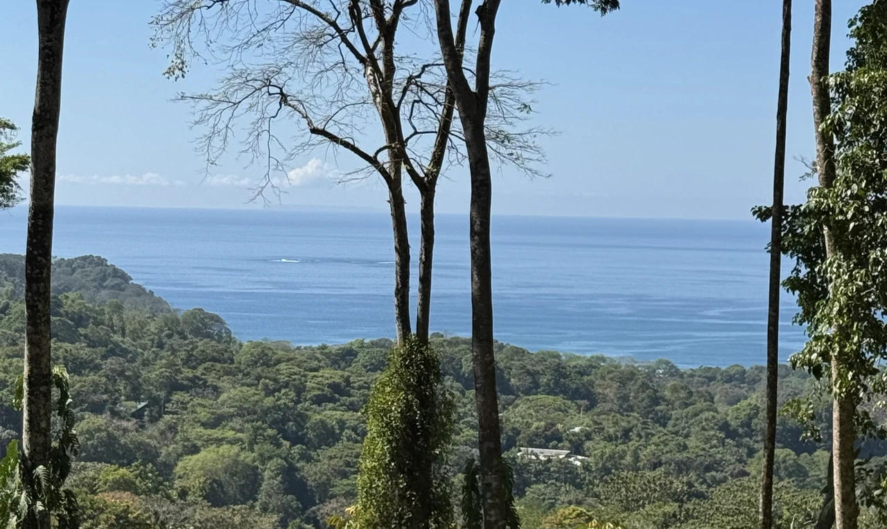 Two Ocean View Lots in Uvita – Easy Access and Large Building Sites - Gallery image 12