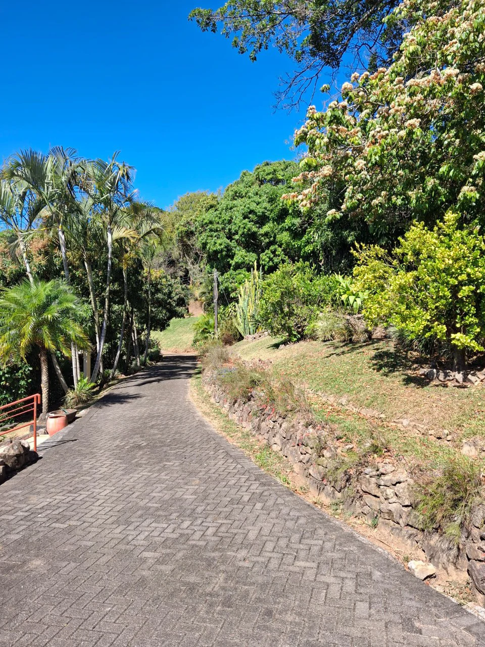 Private Paradise: Luxury home and Guest home on large private lot! - Gallery image 4