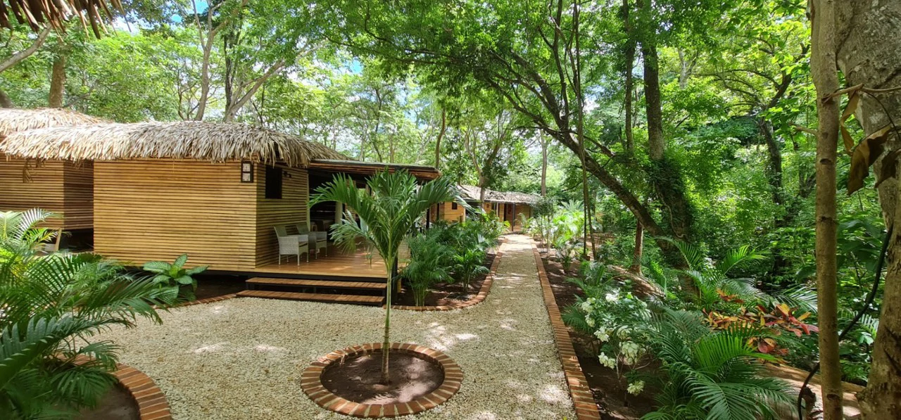 Successful Wellness and Spa with restaurant: One Of A Kind, Successful Wellness, Spa And Restaurant Oasis Close To Tamarindo - Gallery image 31