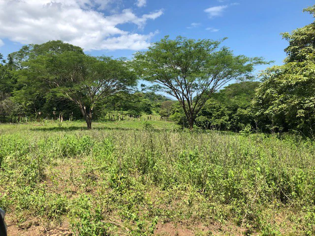 Amazing 50% discount for Huge ocean-view farm for sale surrounded by soft rolling hills and pristine nature - Gallery image 16