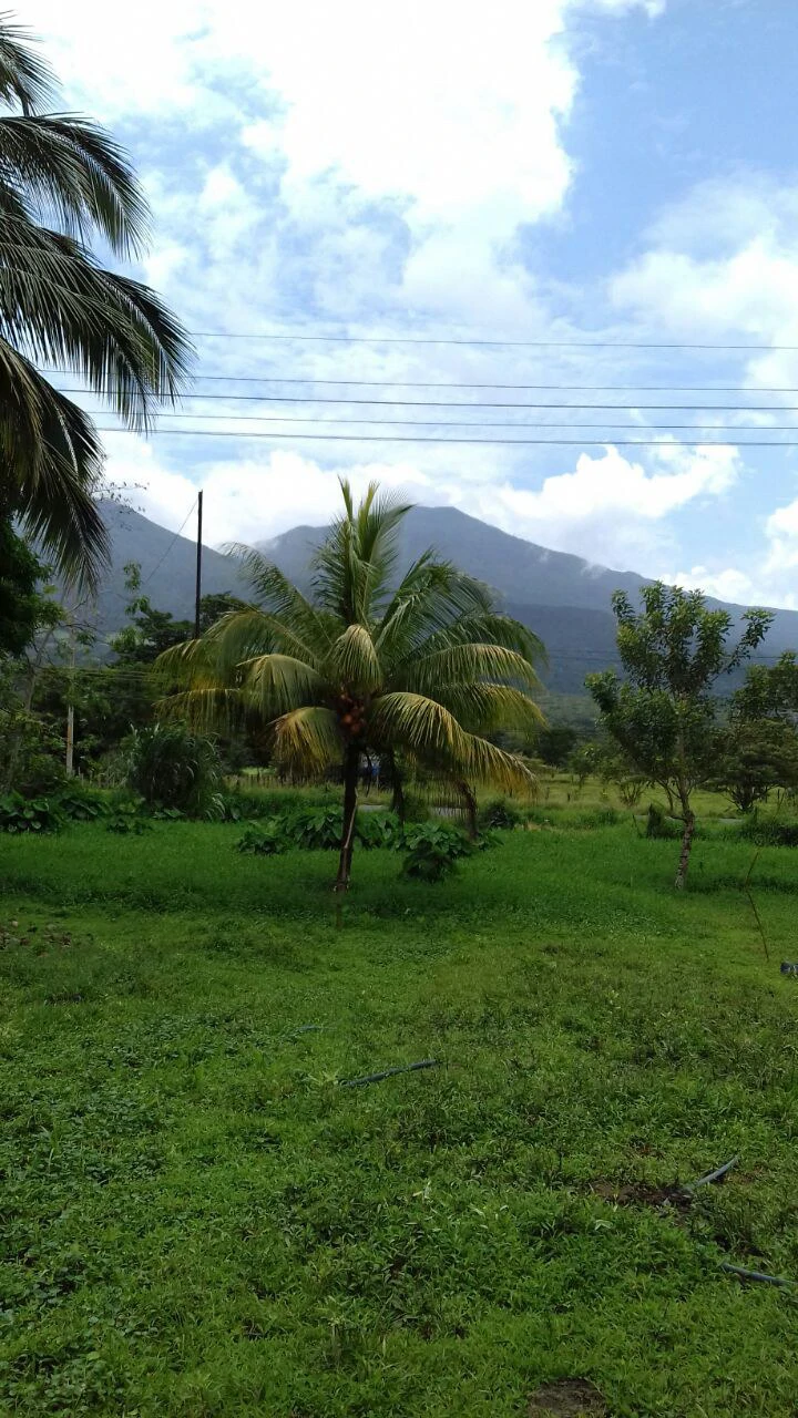 Big property with small house in Bijagua - Gallery image 12