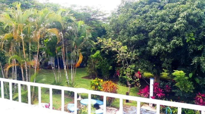 Finca Wellness: Live the Pura Vida Dream – Nature, Privacy & Pacific Beaches - photo 20