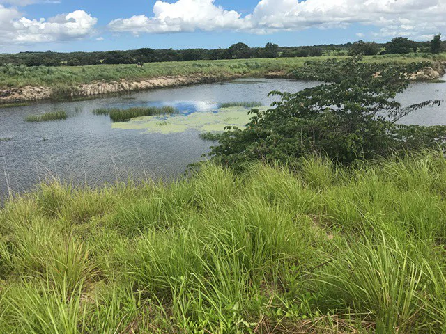 Large Development Land for Sale in Liberia, Guanacaste, Costa Rica - Gallery image 46