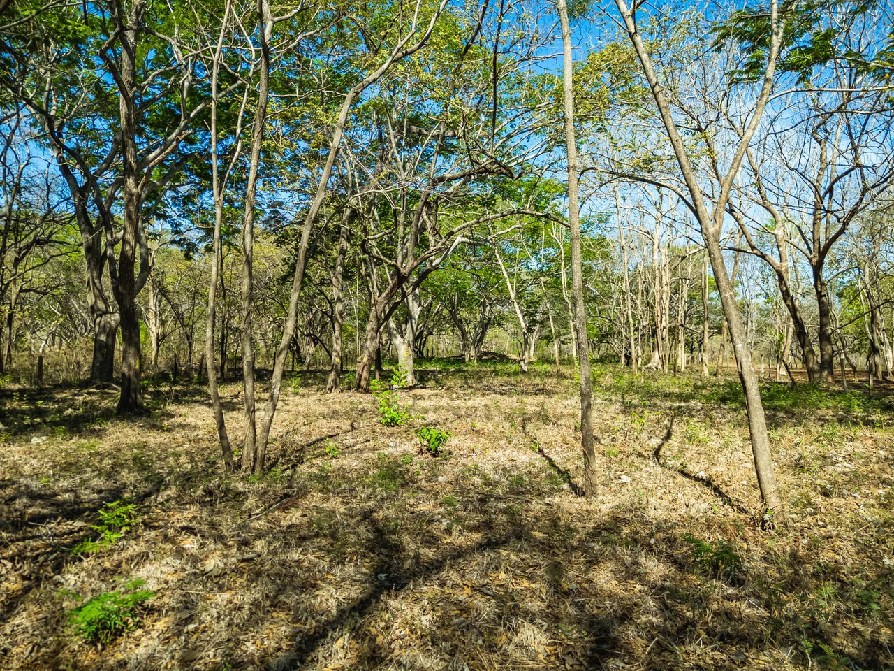 Bosque Escondido: Mixed-Use Lot Steps from Avellanas Beach - Gallery image 11