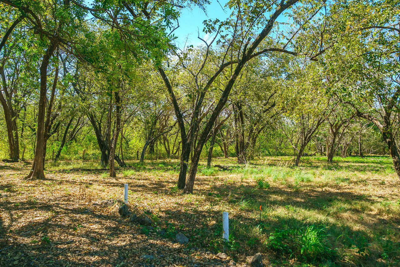 Playa Grande Lot #1: Titled Beachfront Estate Lot Playa Grande - Gallery image 11
