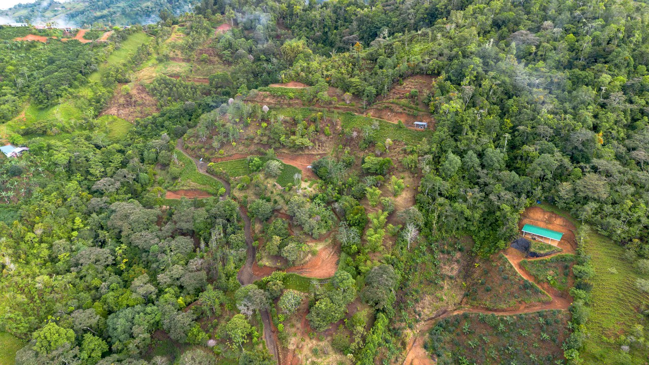 10.21 Acres with Views & Plantels – Pérez Zeledón - Gallery image 14