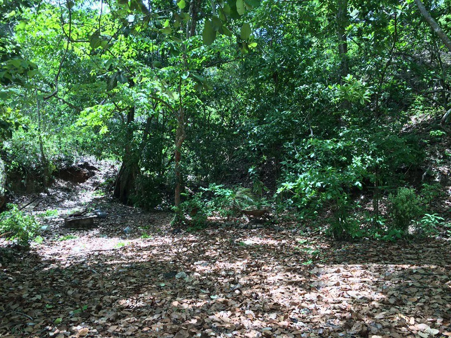 GRAN OPORTUNIDAD: GREAT OPPORTUNITY. Property of 48.3 hectares adjacent to the Hotel Riu - Gallery image 8