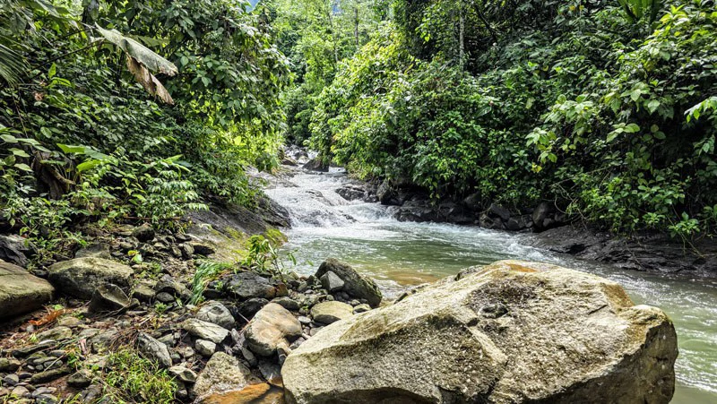Waterfall Estate, Dos Bocas, Dominical Featuring Twin Waterfalls, Springs, Creeks & Rivers - Gallery image 35
