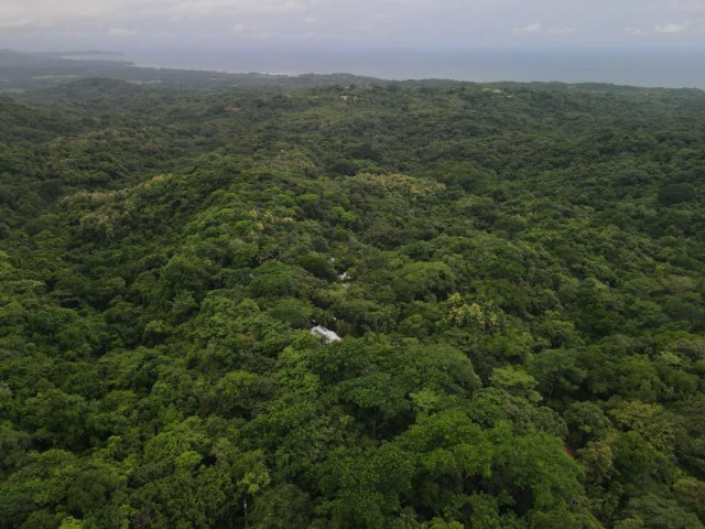 Nosara's Brand New Top Villas as a Business Opportunity in the dense forest of catchment area, 7 villas for sale in Costa Rica's Healthy Blue Zone - Gallery image 32