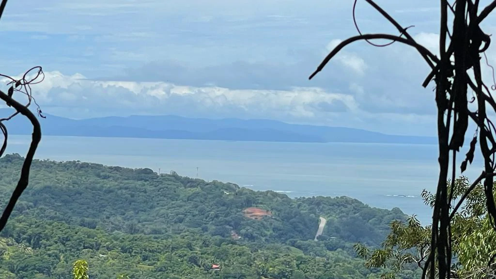 Eduardo Lee 17 Acres: Mountain Agricultural Land For Sale in Bejuco - Gallery image 4