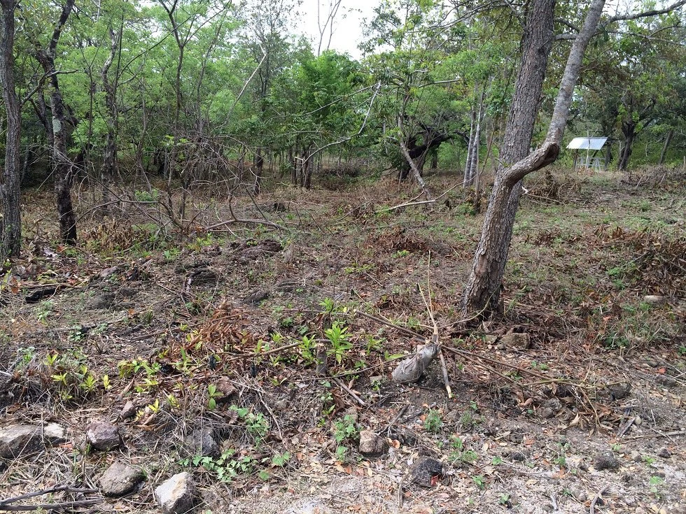 Finca grande: Economic Building property for sale in El Salto, with private access to the surrounding beautiful nature with own river - Gallery image 4