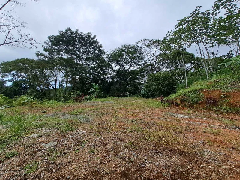 Where Ocean Vistas, Jungle Symphony, and Mountain Breezes Unite! - Gallery image 3