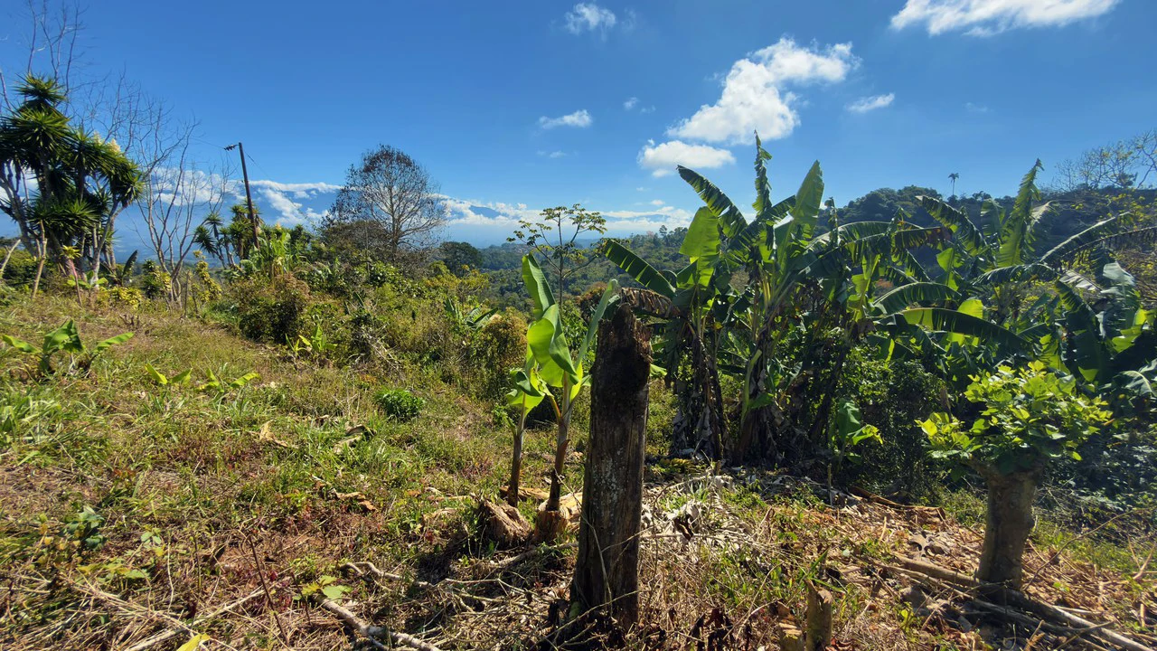 Countryside Home Construction Site For Sale in San Rafael - Gallery image 8