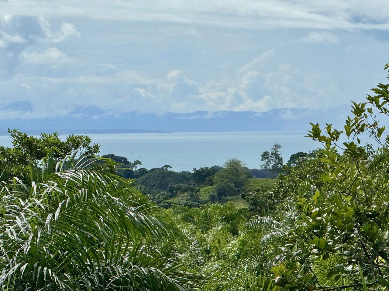 1.45 ACRES – Ocean View Property With Creek And Public Road Frontage, 12 Min To Beach And Surf!!!