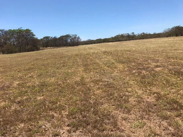 Huge terrain for sale in Guardia close to the International Airport of Liberia - Gallery image 24