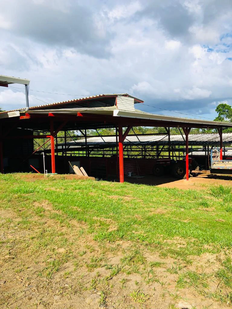 Professional Milk Factory for Sale with a big house in the mountains of Bijagua Costa Rica - Gallery image 18
