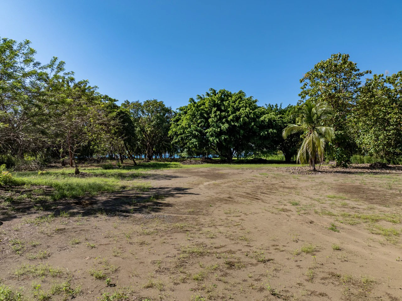 Exclusive Beachfront Opportunity south of Manuel Antonio Costa Rica - Gallery image 6