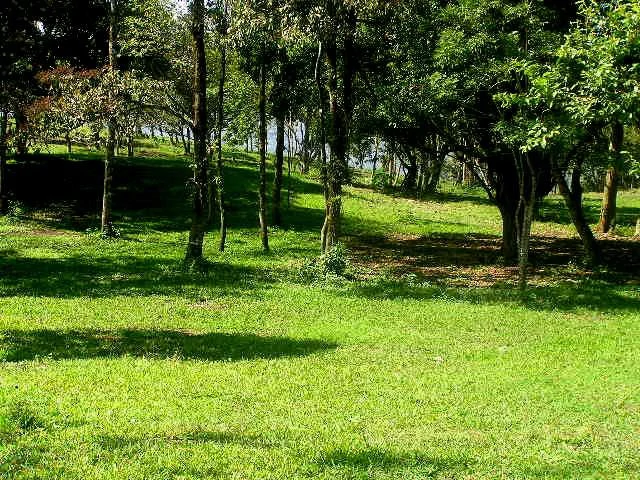 Hacienda Poseidon: 33 acre property overlooking Lake and Volcano Arenal - Gallery image 7