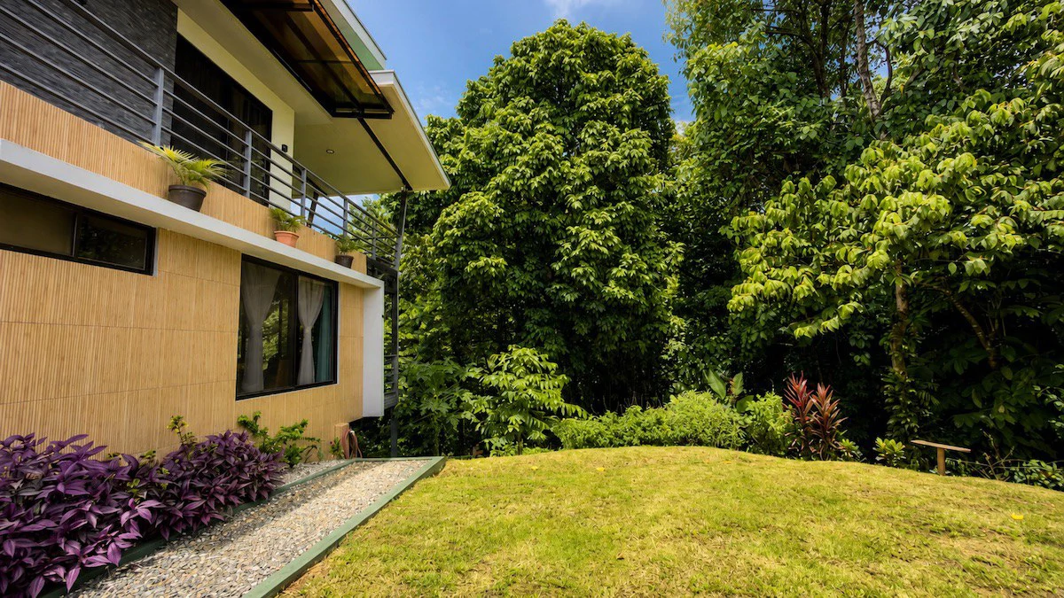 Turnkey Two-Home Property & Boutique B&B in Drake Bay, Osa Peninsula - Gallery image 22