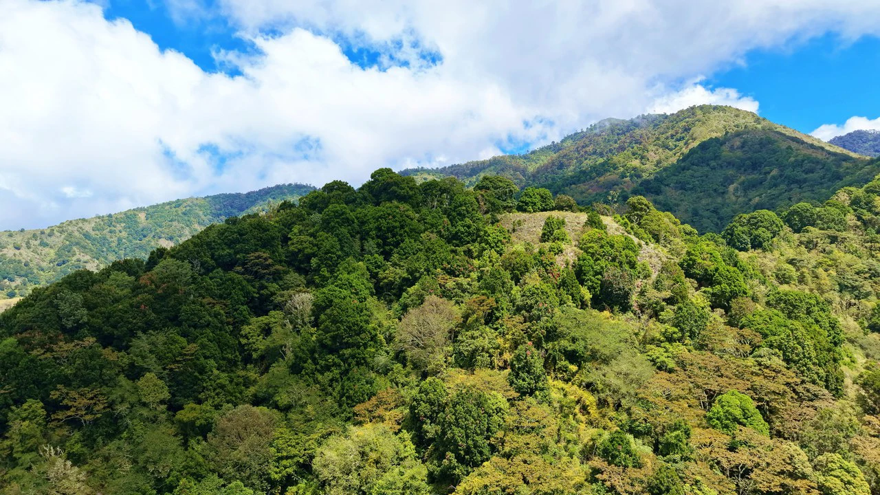 Mountain Agricultural Land For Sale in Herradura - Gallery image 7