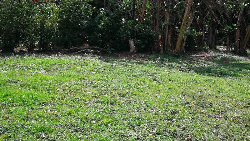 WATERVIEW PARADISE - Lake View Building Lot - Gallery image 6
