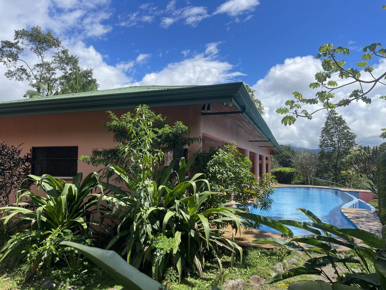 5.2 ACRES – 2 Bedroom Home With 60 Ft Infinity Lap Pool, 1 Bedroom Guest House, Fabulous Ocean View, Mature Fruit Trees!!! - Gallery image 9