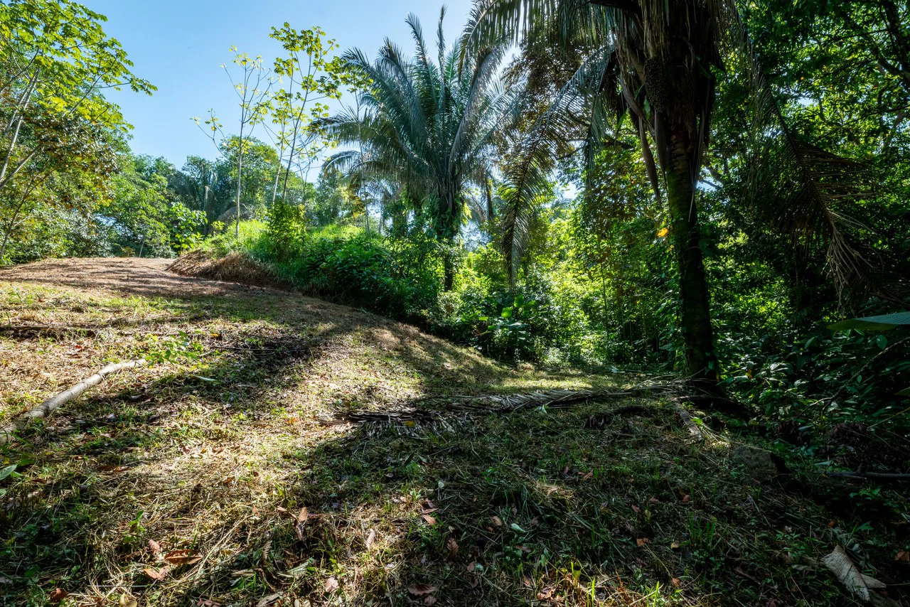 Surfers Paradise! Two Usable Lots for Building in Playa Hermosa Near Uvita!!: Mountain Home Construction Site For Sale in Playa Hermosa - Gallery image 14