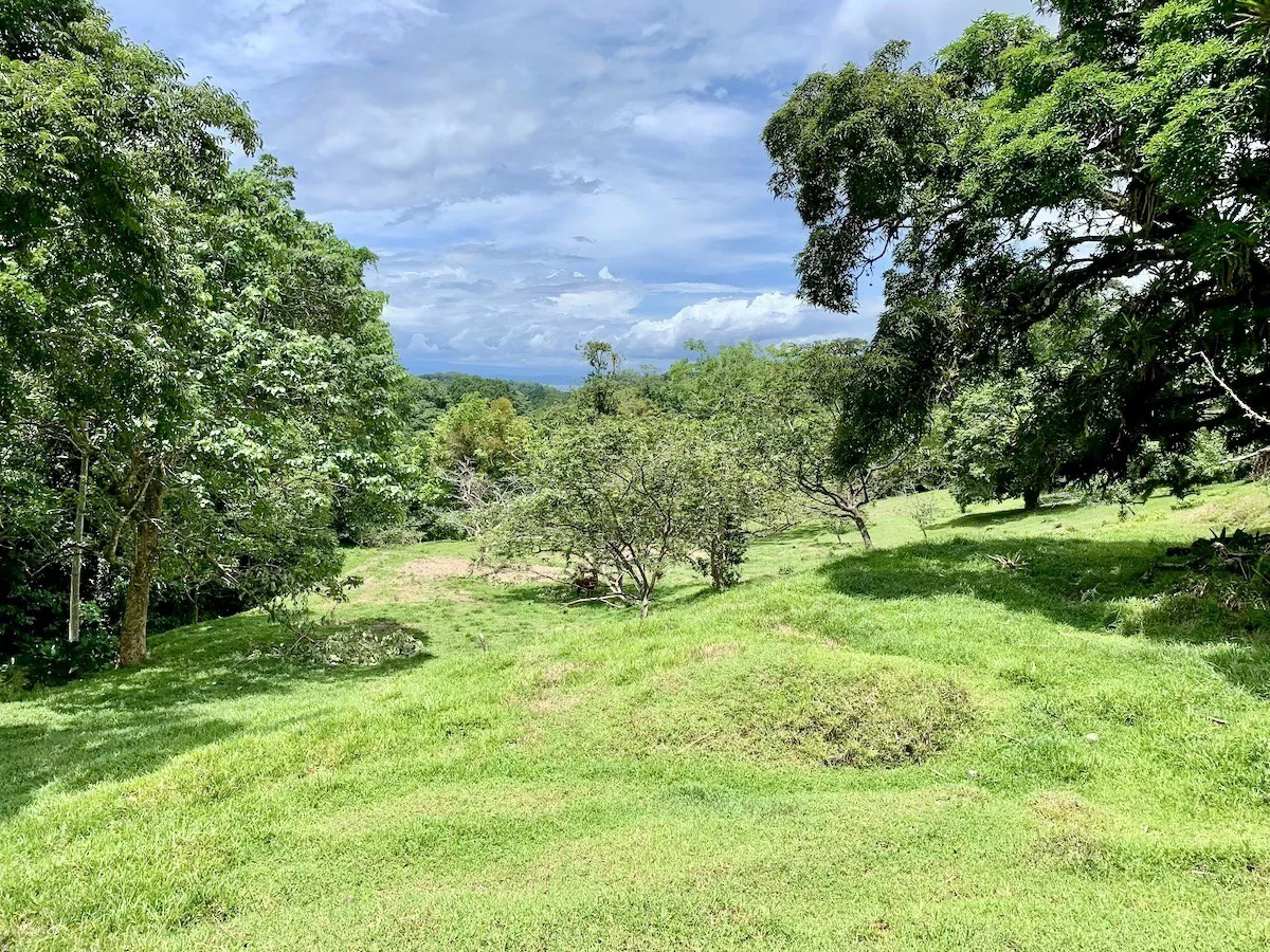 High Elevation Rainforest and Ocean View Property - Gallery image 10