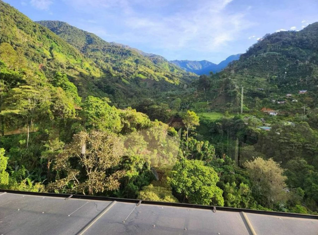 Modern Country House with Guest Cottage Amidst a Coffee Plantation in Perez Zeledon, Costa Rica - Gallery image 43