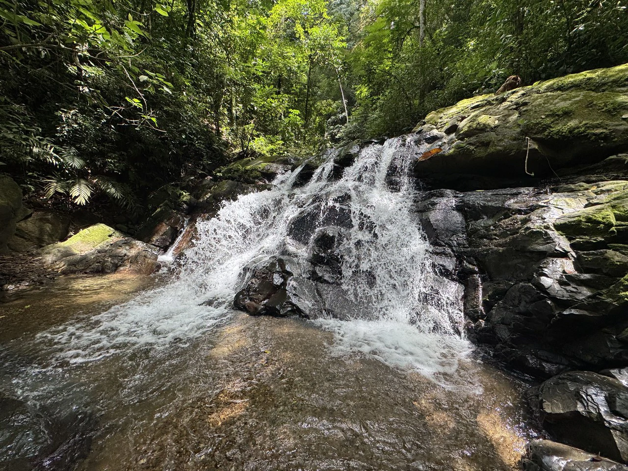 23.5 Acre Waterfall & Riverfront Estate Bahia Ballena Osa Peninsula - Gallery image 25