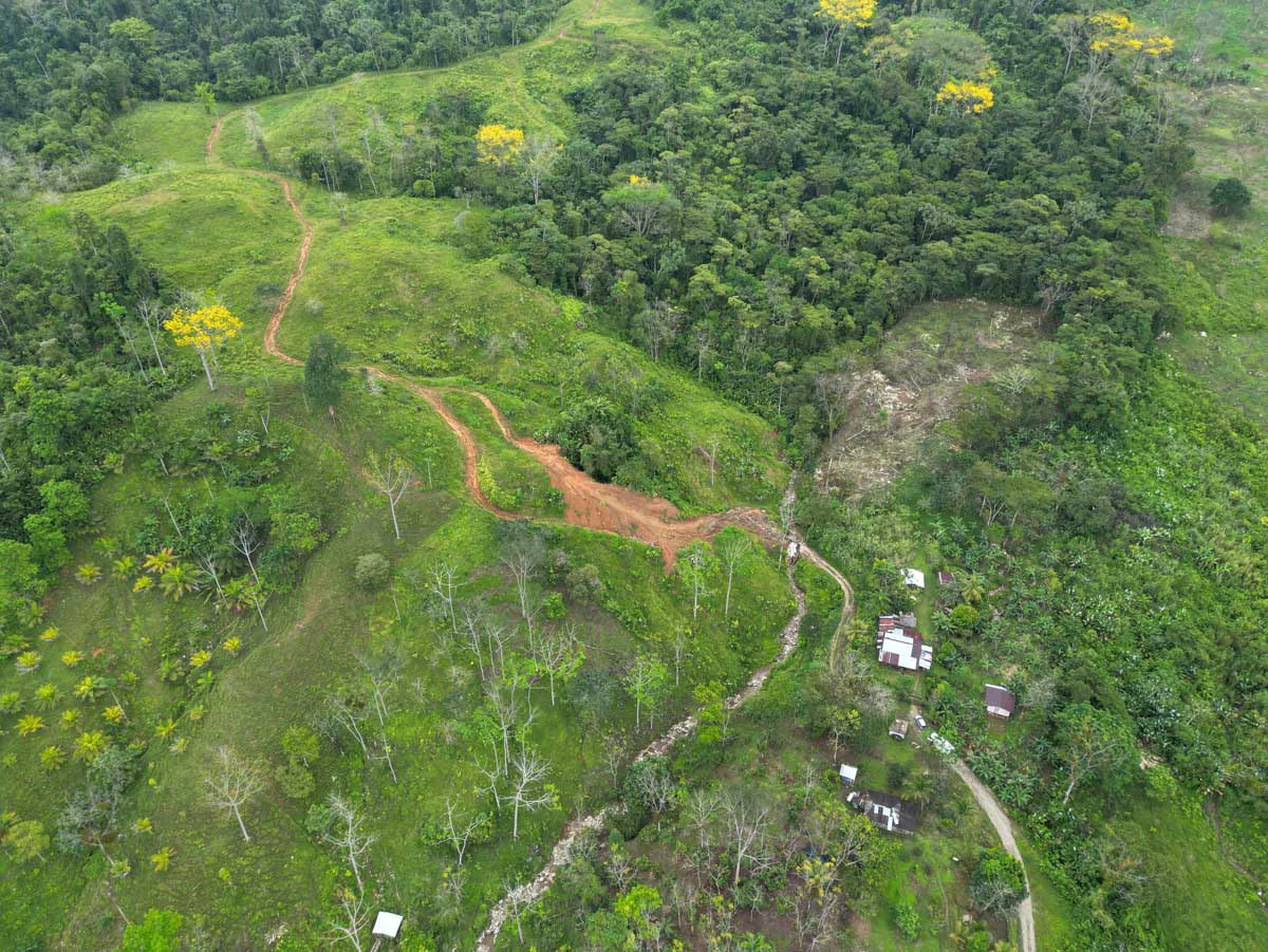 Fire Sale Farm with Ocean View | Piedras Blancas, Osa Peninsula - Gallery image 2